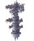 Well Drilling Oil Wellhead Equipment Zusammengebautes Thermal Wellhead Oil Medium fournisseur